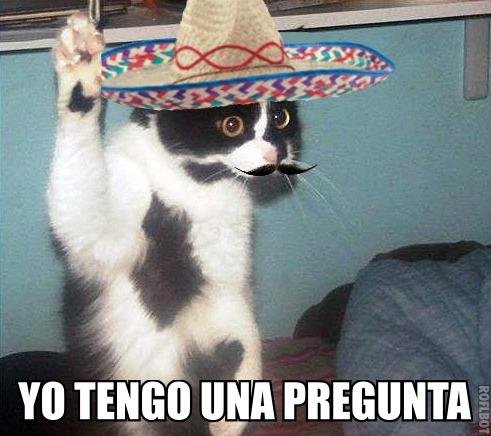 pregunta.jpg.d5dee0b78adbf190b27d3b3b0b529b4f.jpg