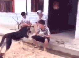 turmdidi.gif.ed448b663522f760428efb8c21a0f1b7.gif