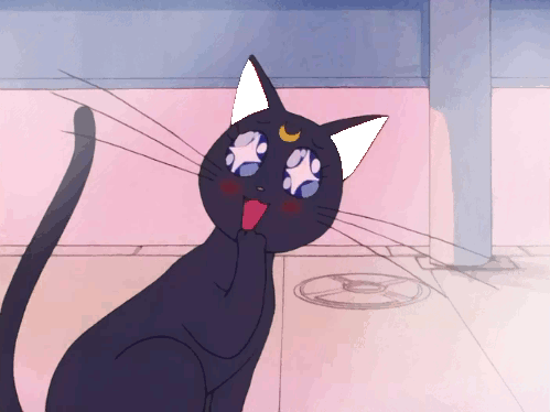 giphy.gif.ab13f293f0120a7c561bd790bb698761.gif