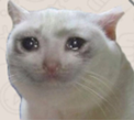 image.png.f8dcc399dc7813c44a8ffb2f5e72a4af.png