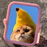 nogberto