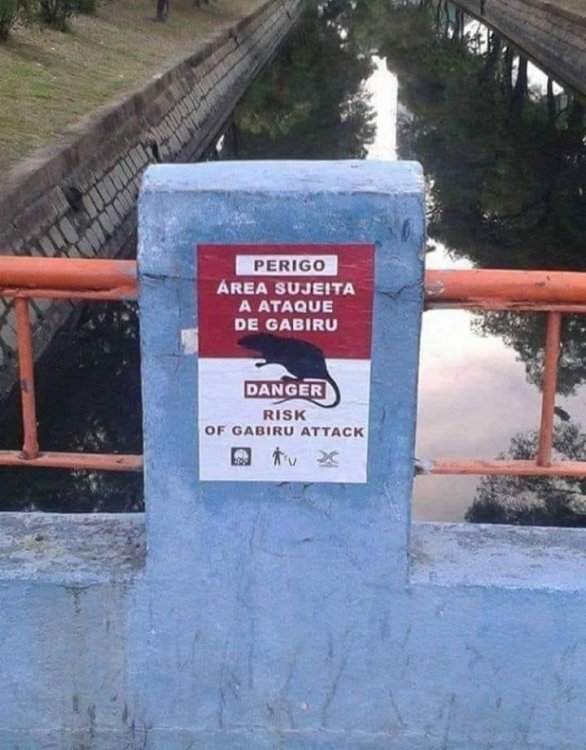 CUIDADO.thumb.jpg.0a64b08fce59ba74e81b778e16493a71.jpg