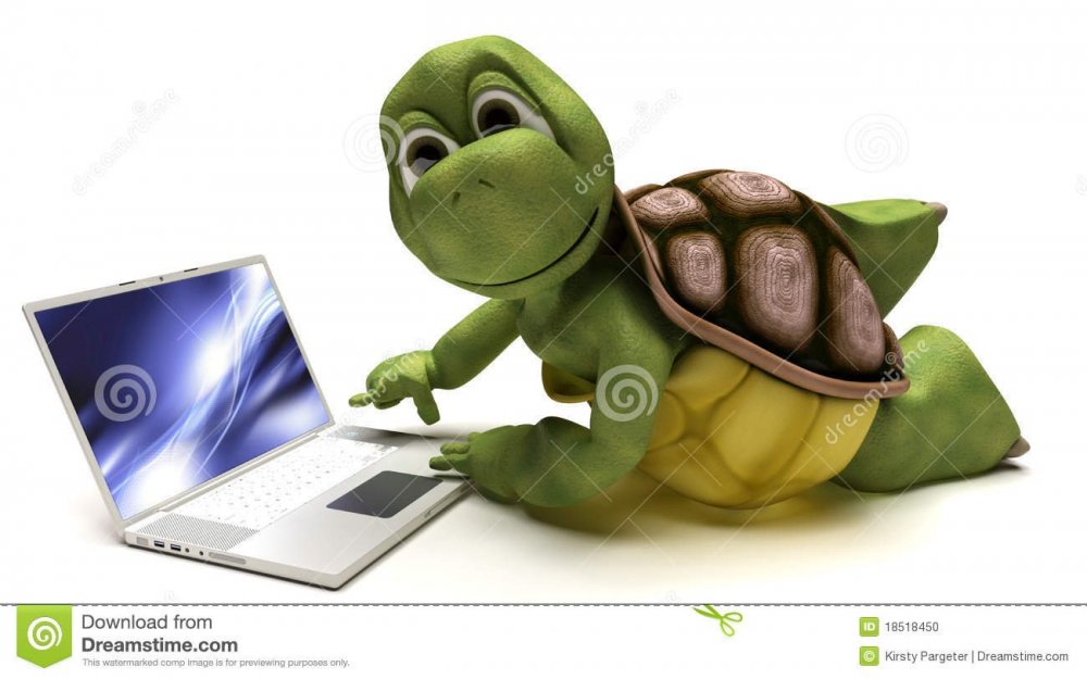 717280884_tartaruga-em-um-computador-porttil-18518450.thumb.jpg.8a93ecbd44ce3b08365412f2cdf90afd.jpg