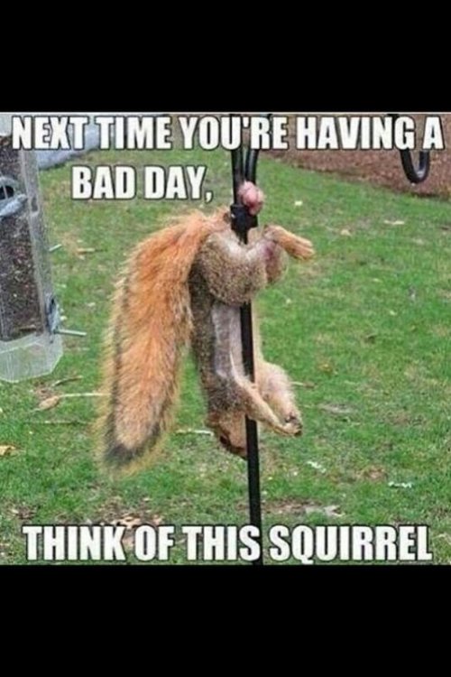 262e8e24873a9e3fbf7f13517ef1c11a.jpg