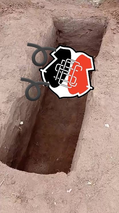 1125080774_images(1).jpeg.8e39cb2e8124e5dfcd763ad009aca9b8.jpeg