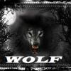 sz Wolf sz