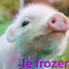 ~le Frozen