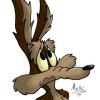1coyote1