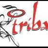 Tribal*